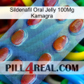 Sildenafil Oral Jelly 100Mg Kamagra 06